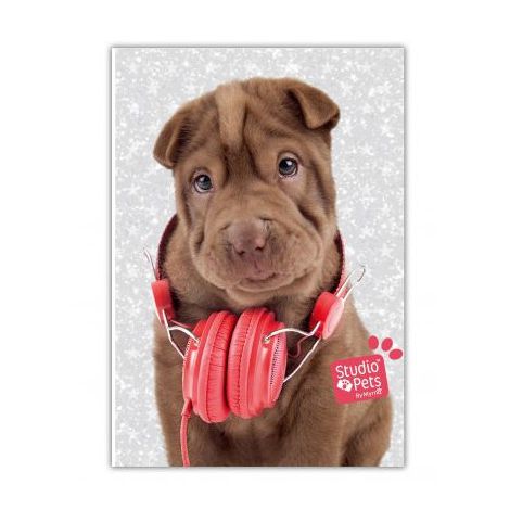 Pamiętnik brokatowy Paso A6/80 Studio Pets Pies